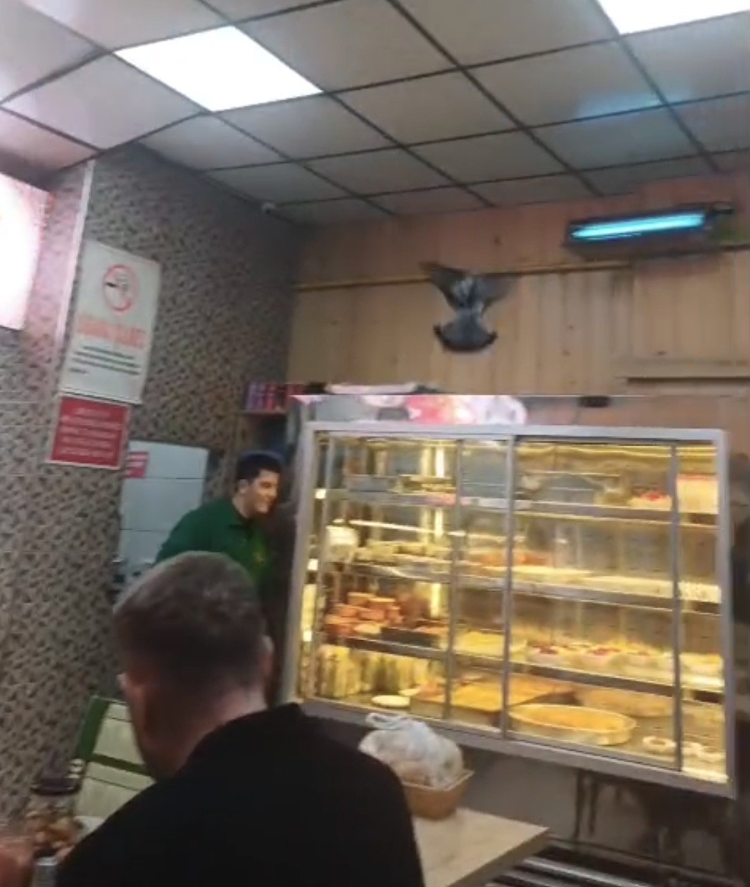 İftarda lokantaya giren güvercin ortalığı karıştırdı