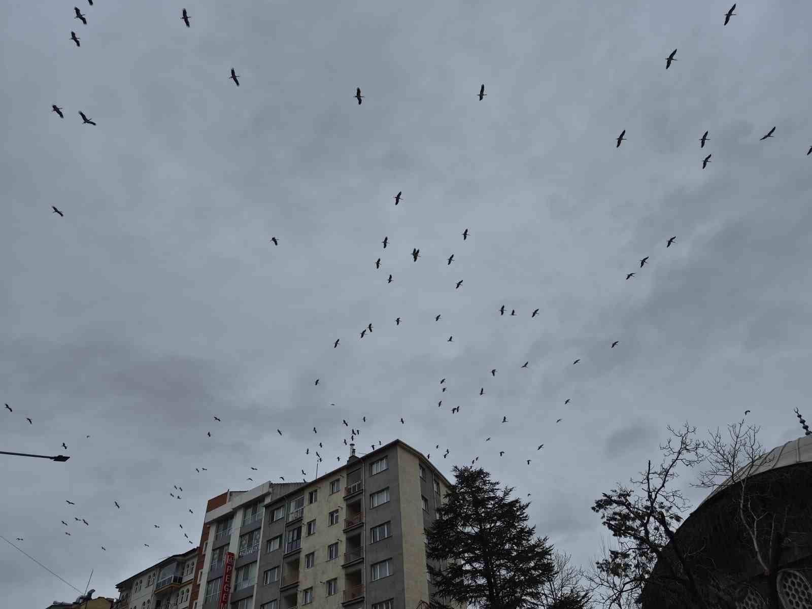 Leyleklerin gökyüzündeki dansı görsel şölen oluşturdu