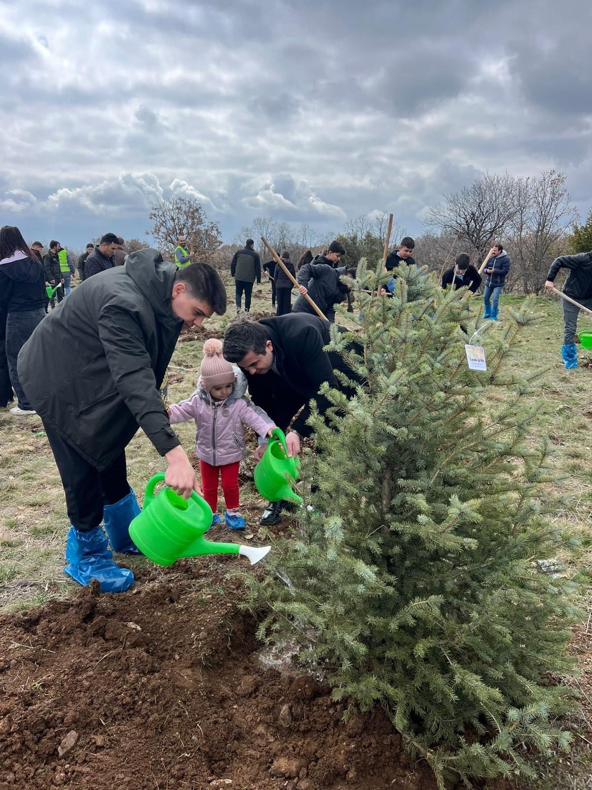 Mihalıççık’ta 100 fidan toprakla buluştu